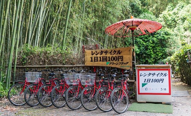 Cycling rules in Japan