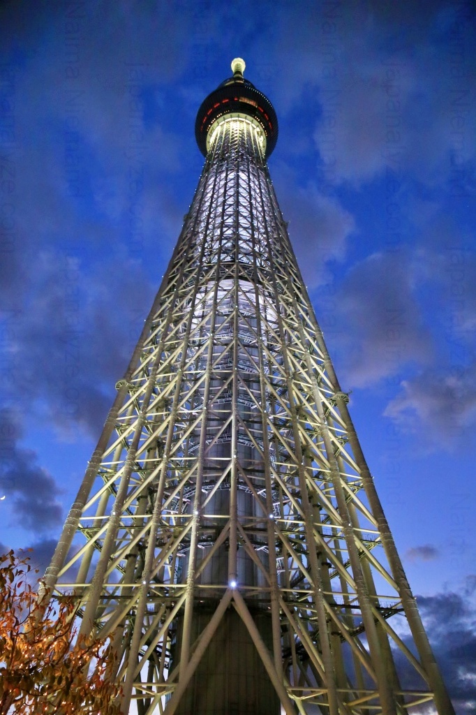 Tokyo Skytree reopened to tourists after COVID-19